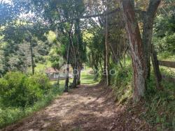 #44 - Sítio para Venda em Natividade da Serra - SP