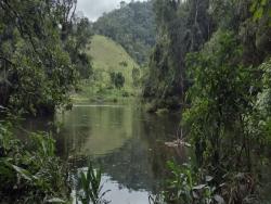 #743 - Sítio para Venda em São Luíz do Paraitinga - SP
