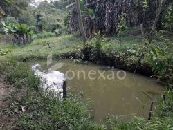 Venda em Centro - Paraibuna