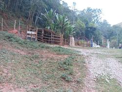 Venda em Centro - Paraibuna